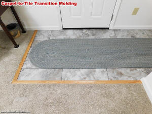 Carpet-to-Tile Transition Molding - Airplanes and Rockets