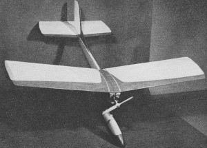 Easily started Pee Wee 02 engine is recommended - Airplanes and Rockets