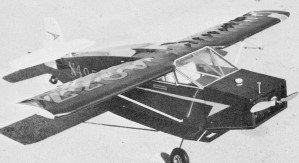 Many full-size planes are built and flown - Airplanes and Rockets
