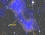 Giant Dark Matter Bridge Between Galaxy Clusters Discovered - Airplanes & Rockets
