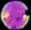 Electric Moon Jolts the Solar Wind - Airplanes & Rockets