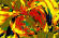 Sun’s Temperature Painted in Amazing Colorful Display -