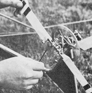 Adjusting tail rotor collective by setting both blades individually - Airplanes and Rockets