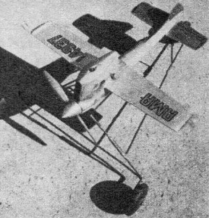 Squeaker can take off from a dolly or be hand-launched - Airplanes and Rockets