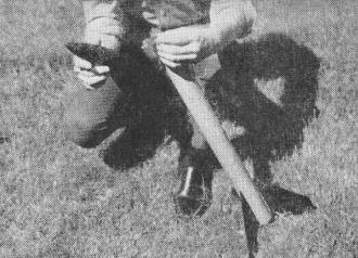 Baby alligator rocket is loaded just before launching time for rocket - Airplanes and Rockets