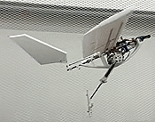 Bird-Like Drones Walk, Hop, Jump into Air - Airplanes and Rockets