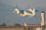 Boeing's 'Ginormous, Hydrogen-Powered Uber-Drone' Takes First Flight - Airplanes and Rockets