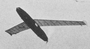 Impressive tailless rubber-powered job by John Pool won top honors - Airplanes and Rockets