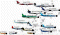 Law of Physics Governs Airplane Evolution