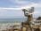 Marines Add an R/C Class to Camp LeJeune - Airplanes and Rockets