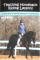 Teaching Horseback Lessons, by Sally Cochran - Airplanes and Rockets