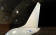 Boeing, NASA Test Active Flow-Control Tail - Airplanes and Rockets