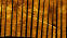 Sonar Image Appears to Be Amelia Earhart's Plane - Airplanes and Rockets