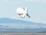 Drone Blimps Hovering over D.C. to Stop Cruise Missiles - Airplanes and Rockets