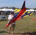 Florida Jets 2014 Brings Model Planes to Lakeland