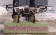 FAA Grounds Valentine’s Flower Delivery Drone - Airplanes and Rockets