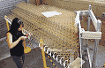 Airplane Wing Assembled from Tiny Identical Pieces - Airplanes and Rockets