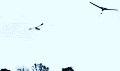 Sailplane Aero-Tow, American Aircraft Modeler - Final Issue (March 1975) - Airplanes and Rockets