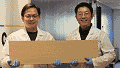 Super Wood Could Replace Steel - RF Cafe