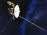 Voyager 1 Has Left the Solar System - Airplanes and Rockets