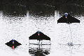 Water Jet Powered Drone Takes Off - Airplanes and Rockets